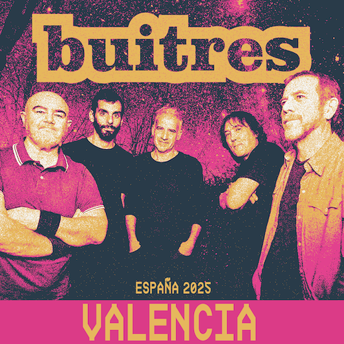 Buitres en Valencia